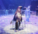 В тульском цирке открылось «Шоу волшебных фонтанов»