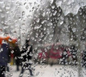 Погода в Туле 14 декабря: дождь, ветер и низкое давление