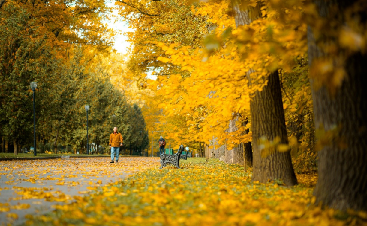 Погода в Туле 13 октября: до +5 градусов и неспокойное магнитное поле