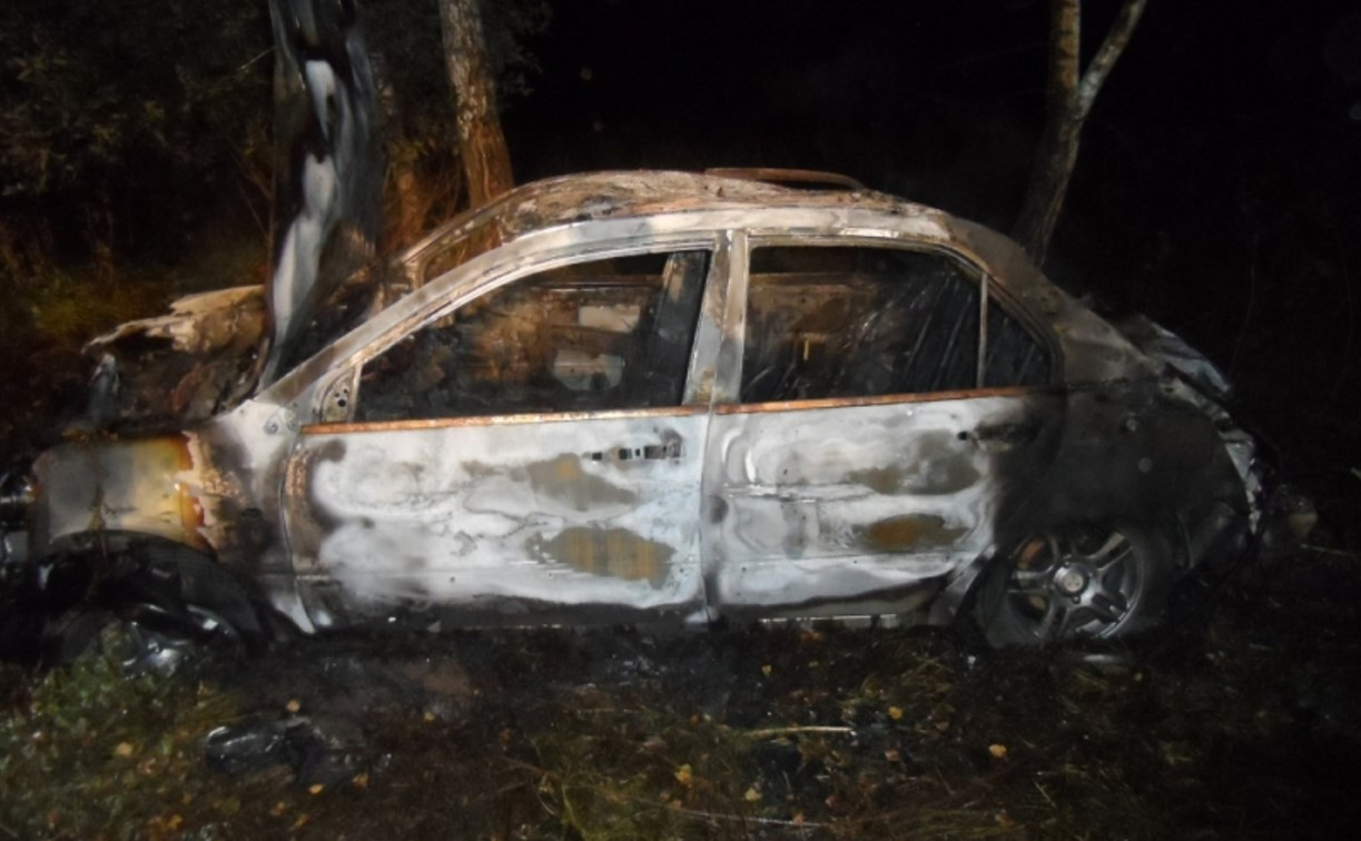 В Суворовском районе ночью сгорел «Мицубиси»