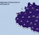 В каких городах, селах и деревнях Тульской области есть коронавирус: карта на 19 мая