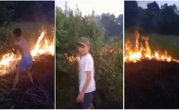 Огонь шел на лес и село: в Тульской области дети бросились тушить пожар