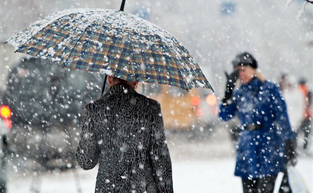 Погода в Туле 31 января: снегопад, заморозки и порывистый ветер