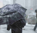 Погода в Туле 12 февраля: мокрый снег, ветер и оттепель