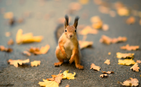 Жизнь Тулы и области