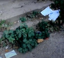 Во дворе расселенного дома на ул. Серова разбросаны платежки «Тулагорводоканала»