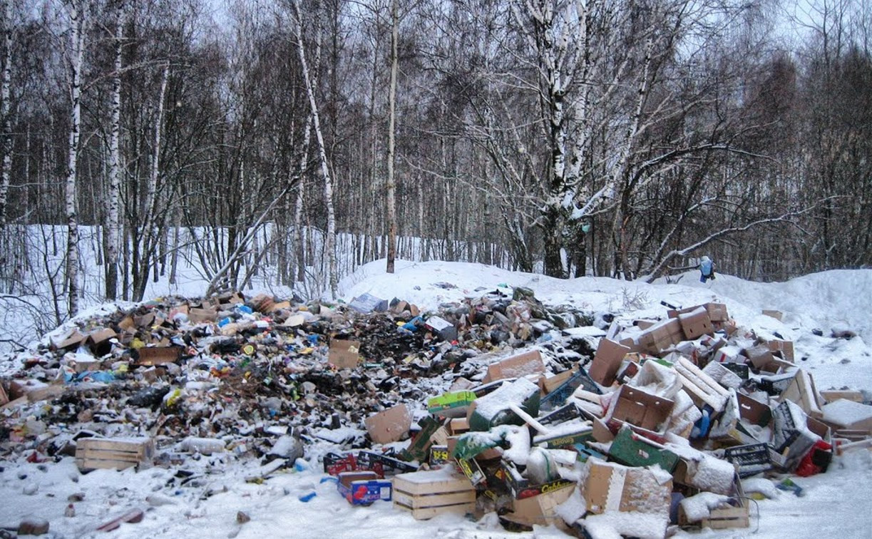 В Туле увеличен штраф за сброс мусора в неустановленных местах