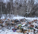 В Туле увеличен штраф за сброс мусора в неустановленных местах