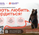 Туляков приглашают исследовать Россию и выиграть поездку в Долину гейзеров