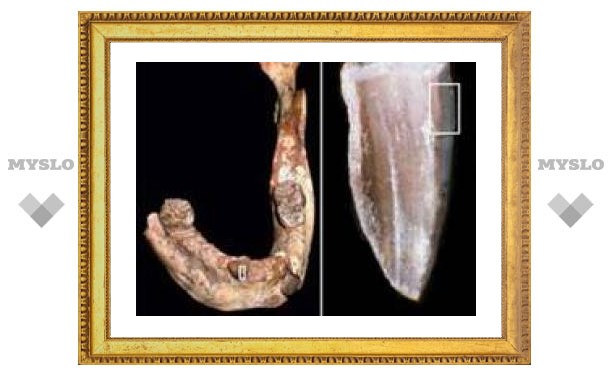 Антропологи вернули Homo sapiens человеческое детство