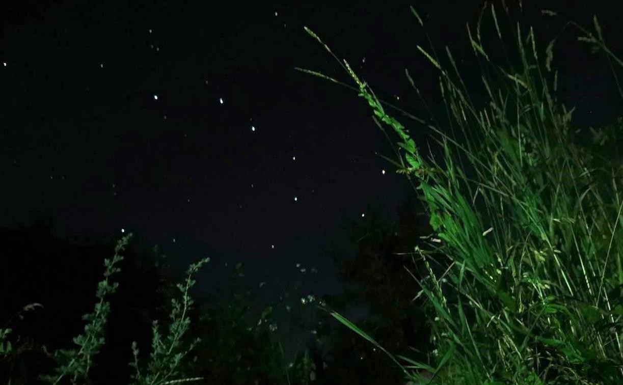 Самый крупный звездопад лета: названа дата пика метеорного потока Персеиды