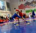 В Туле прошёл межрегиональный турнир по самбо