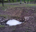 В пруду Платоновского парка туляки снова заметили пену