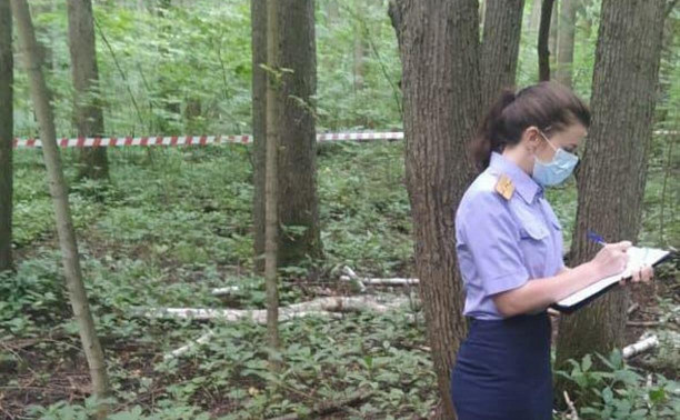 В лесу под Богородицком нашли привязанный скотчем к дереву труп мужчины