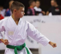 Тульские спортсмены завоевали медали на международных соревнованиях по всестилевому карате