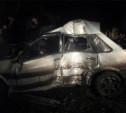 В Новомосковске водитель ВАЗ-21150 на летней резине врезался в дерево