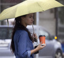 Погода в Туле 12 августа: похолодание, дождь и ветер