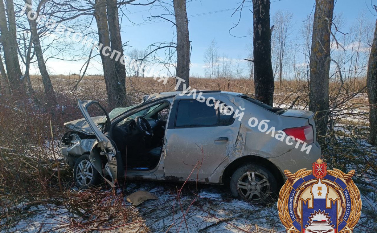 В Щекинском районе водитель Renault врезался в дерево