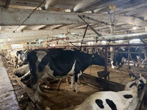 Жизнь Тулы и области