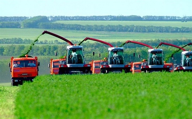 "До сих пор остаются неубранными порядка 80 тысяч гектаров зерновых", - Владимир Груздев