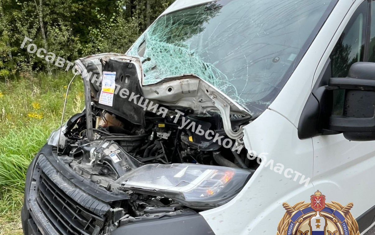 В Чернском районе маршрутка столкнулась с лосем 