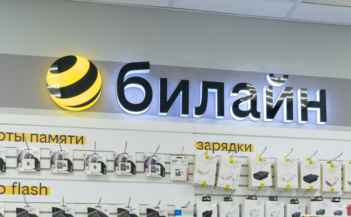 Билайн в Тульской области запустил новый формат франшизы