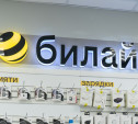 Билайн в Тульской области запустил новый формат франшизы