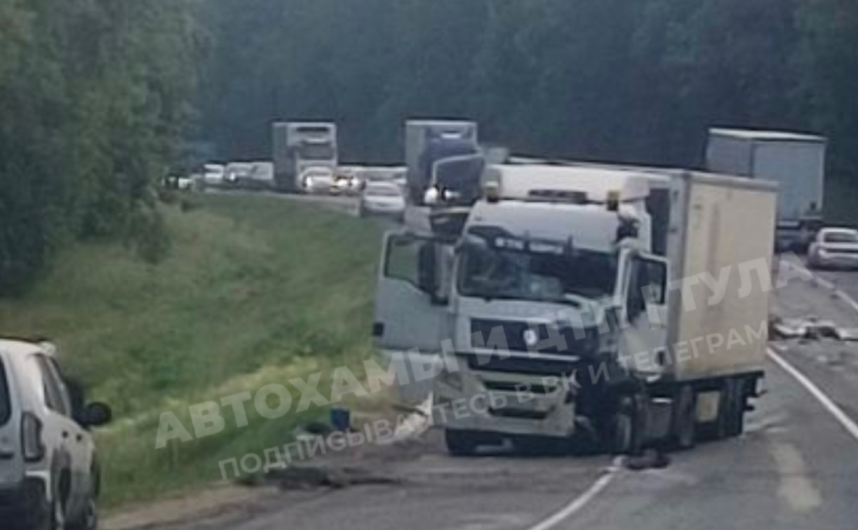 Под Тулой насмерть сбили сотрудника МЧС, который помогал пострадавшим в ДТП