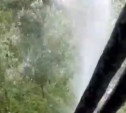 На улице Галкина в Туле рухнувшее дерево повредило трубу: фонтан бьет до третьего этажа