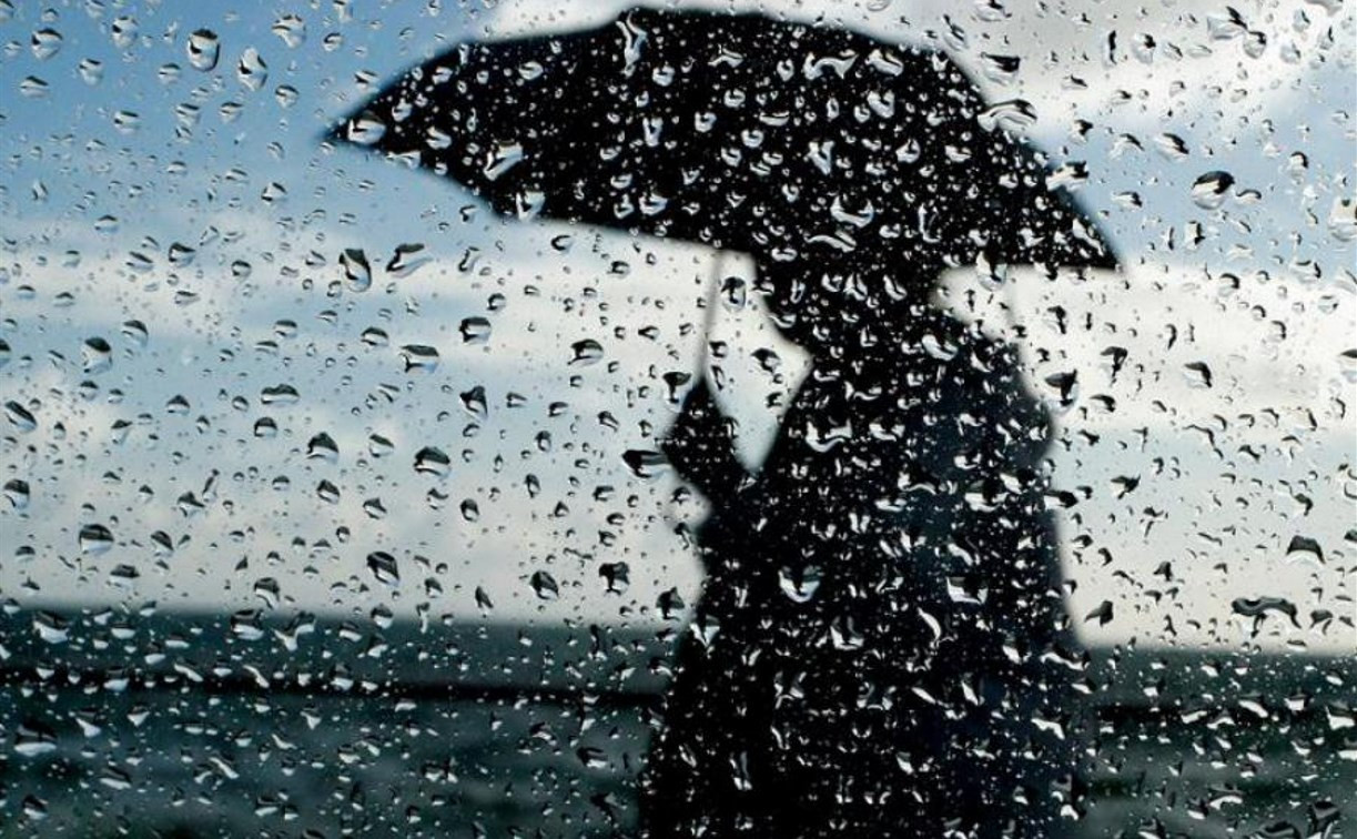 Погода в Туле 13 сентября: дождь с грозой и сильный ветер