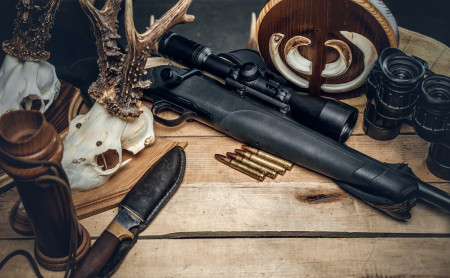 Жизнь Тулы и области