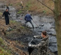 В Туле очистили русло реки Рогожня