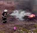 В Ясногорском районе сгорел съехавший в кювет «Рено»