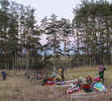 Жители тульского Плеханово требуют закрыть кладбище на границе с поселком
