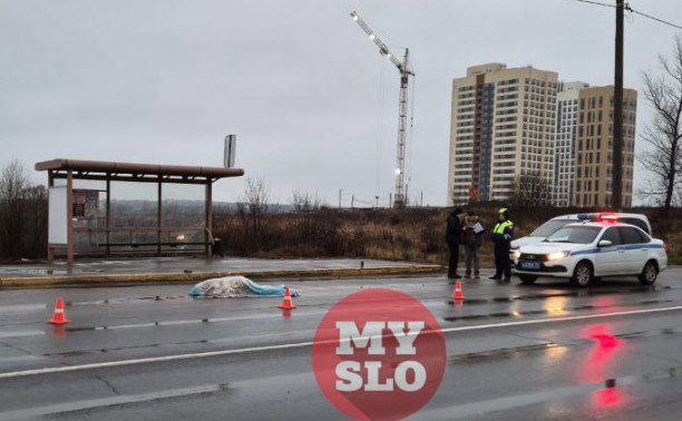 Стали известны подробности смертельного ДТП с пешеходом на Веневском шоссе 