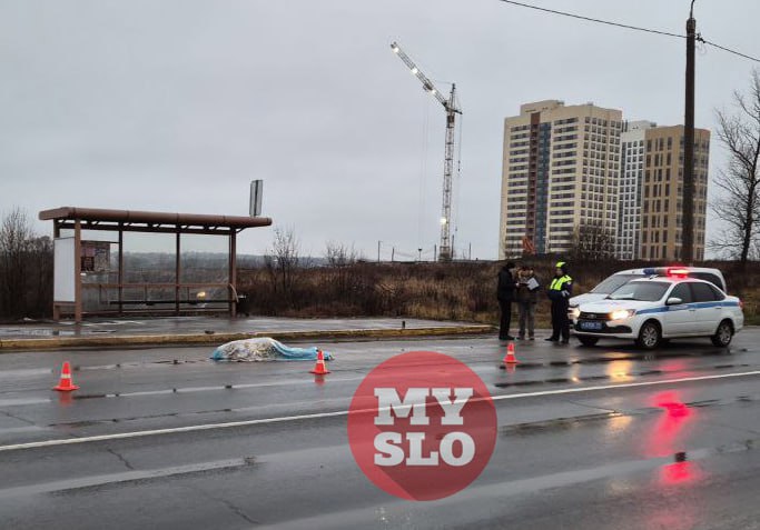 Стали известны подробности смертельного ДТП с пешеходом на Веневском шоссе 