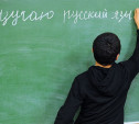 В Туле мигрантов будут учить русскому языку