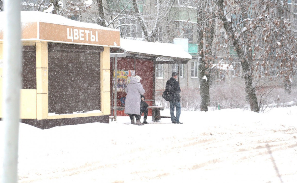 Погода в Туле 10 января: снег и до -9