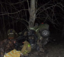 Под Белёвом двое мужчин разбились насмерть, врезавшись в дерево