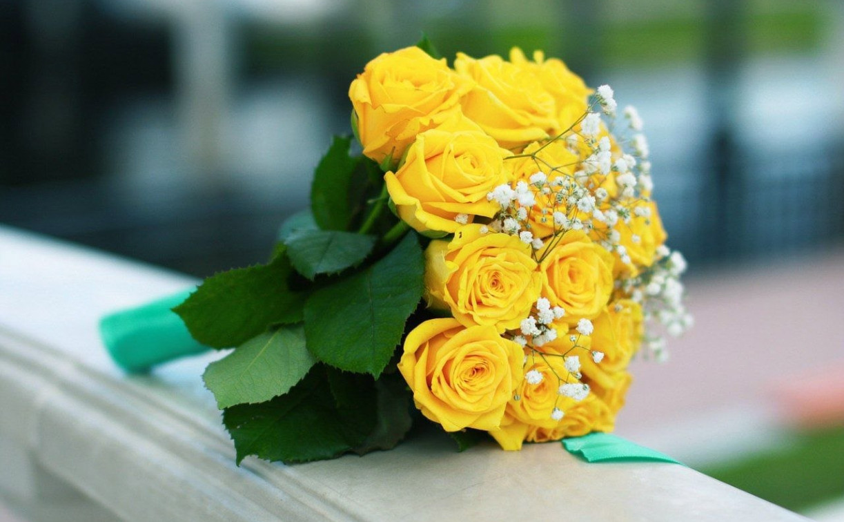 Аллею невест откроют в Новомосковске к 100-летию города