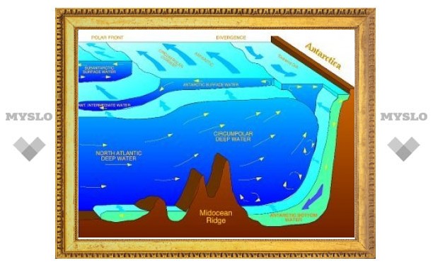 Антарктика потеряла более половины придонных вод
