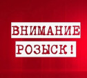 Госавтоинспекция ищет очевидцев смертельного ДТП в Алексине
