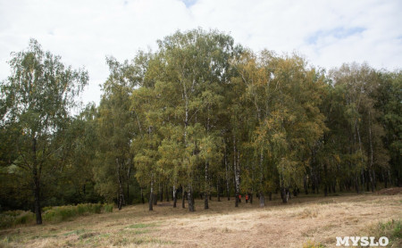 Жизнь Тулы и области