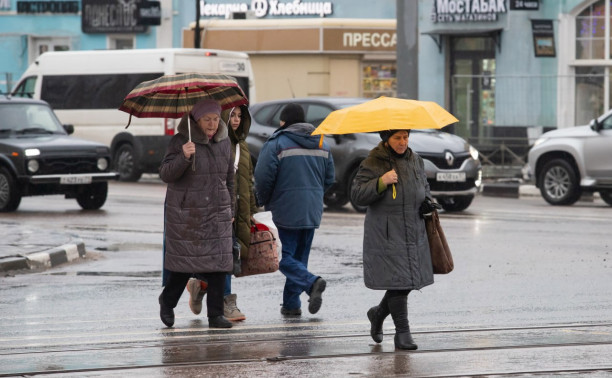 Погода в Туле 14 февраля: снег с дождём и до +3