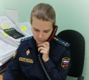 Приставы арестовали дачный участок туляка, задолжавшего налоговой почти 300 тысяч рублей