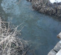 Тульская администрация проверила «багровый ручей» рядом с поселком Рассвет