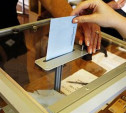 К 12.00 явка на выборах в Новомосковске может составить 5%
