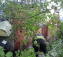 При пожаре в заброшке на Демонстрации погиб человек 