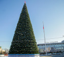 Огни на главной ёлке Тулы зажгут 1 декабря