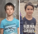 Из школы под Тулой похищены двое детей